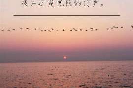 温县调查业务